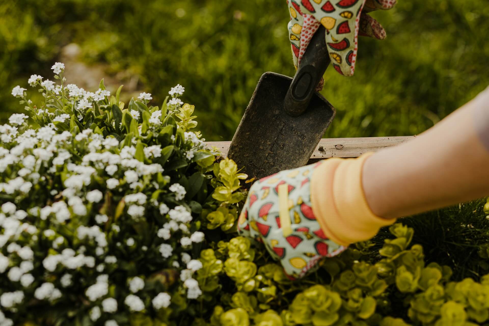 An image of a gardener